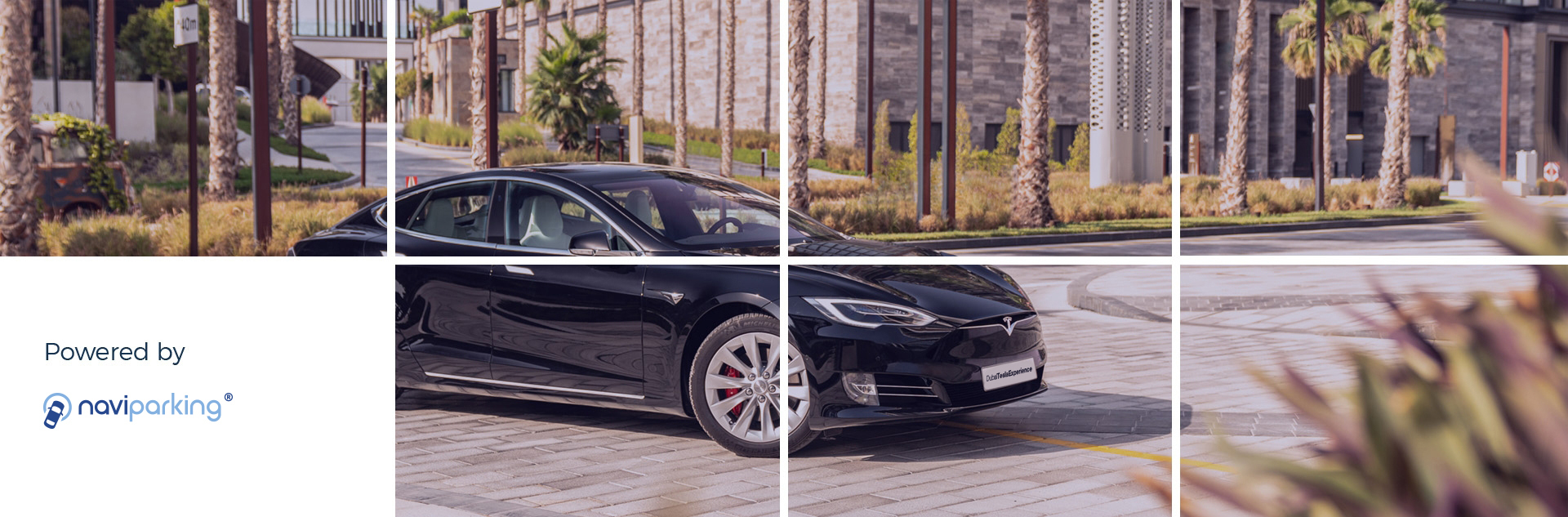 Tesla dubai